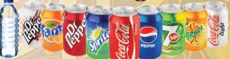 Assorted Individual Sodas and Bottled Water