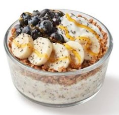 Chia Oatmeal Pudding Bowl ~ Individual