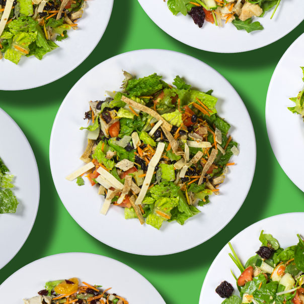 Signature Salad ~ Bundle 2